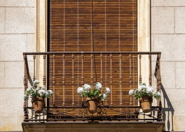 Salamanca şehrindeki klasik bir binada çiçek saksıları olan bir balkonun yakın çekimi..