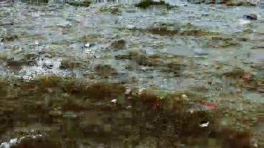 Yüksek kontrastlı geniş açılı okyanus dalgaları yüzen çöp ve enkaz deniz kirliliği ve çevresel etkiyi gösteriyor.