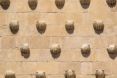 Salamanca şehrinin tarihi merkezi İspanya 'daki ünlü Casa de las Conchas' ın duvarının ön görüntüsü.. 