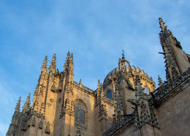 Salamanca şehrinin tarihi merkezinde bulunan ünlü Salamanca katedralinin düşük açılı dış çekimleri, İspanya