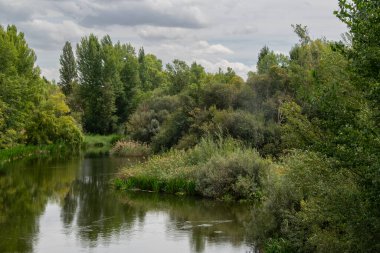Durgun sulara, tomes nehrine, salamancaya, İspanya 'ya yansıyan yoğun yeşilliğe sahip huzurlu bir nehir kıyısı.