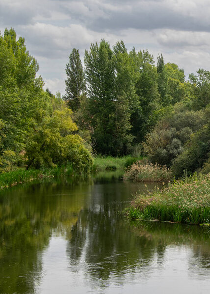 Wide shot of a peaceful riverbank with dense greenery reflected in still water, tomes river, salamanca, spain