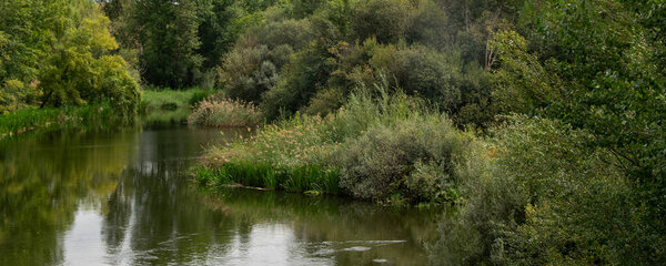 Wide shot of a peaceful riverbank with dense greenery reflected in still water, tomes river, salamanca, spain