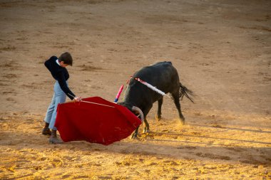 İspanya 'nın Salamanca şehrinde, stadyum arenasında bir gencin siyah bir boğayla karşı karşıya olduğu boğa güreşi gösterisinin tribünlerinden manzara