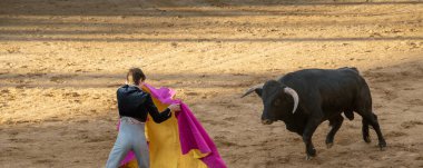 İspanya 'nın Salamanca şehrinde, stadyum arenasında bir gencin siyah bir boğayla karşı karşıya olduğu boğa güreşi gösterisinin tribünlerinden manzara