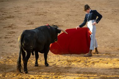 Salamanca, İspanya: 5 Eylül 2023: İspanya 'nın Salamanca kentinde bir gencin siyah bir boğayla karşı karşıya olduğu boğa güreşi gösterisinin tribünlerinden görüntüler