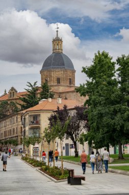 Salamanca, İspanya: 9 Kasım 2023: İspanya 'nın Salamanca kentinin tarihi semtindeki kaldırım ve geleneksel binaların perspektif görüntüsü