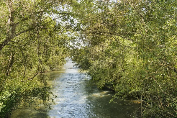 Leguazu Park und Parana Flusslandschaft — Stockfoto