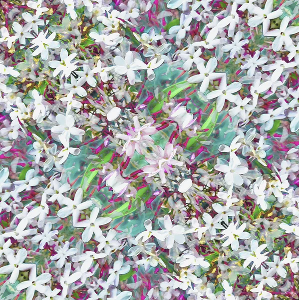 Patrón floral geométrico moderno — Foto de Stock