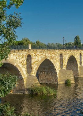 Tarihi Taş Köprü 'nün yan görüntüsü veya Puente de Piedra İspanya' nın Zamora kentindeki Duero Nehri 'ni geçerken..