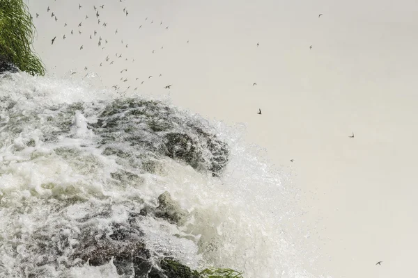 Diablo Garganta Iguazú cae en frontera argentina —  Fotos de Stock