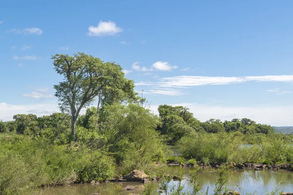 Paesaggio del fiume Parana a Iguazu Falls — Foto Stock