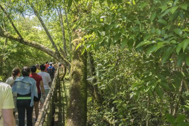Iguazu Park'ta bir yol boyunca yürüyüş insanlar