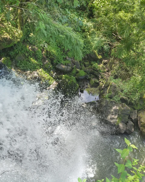 Εναέρια θέα στο πάρκο Iguazu — Φωτογραφία Αρχείου