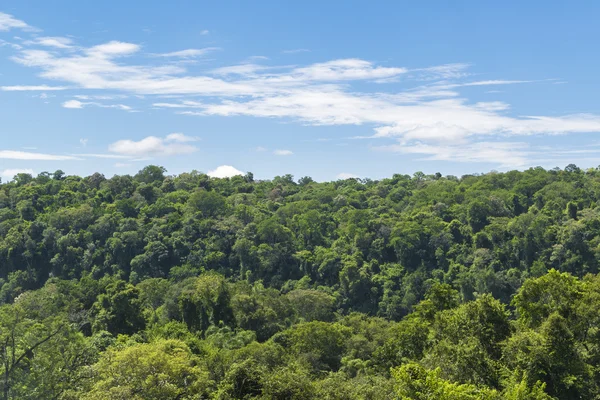 Vista aerea del parco Iguazu — Foto Stock