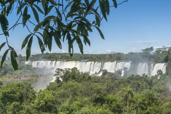 Iguazu watervallen parklandschap — Stockfoto
