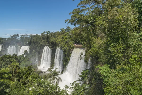 Iguazu watervallen parklandschap — Stockfoto