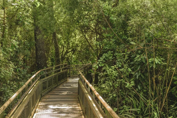 Jembatan di Taman Iguazu Perbatasan Argentina — Stok Foto