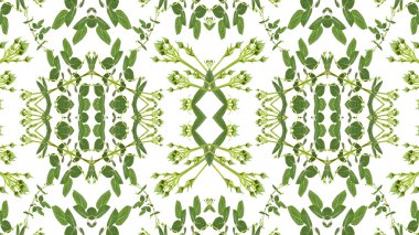 Geometrik dekoratif çerçeve çiçek Seamless Modeli