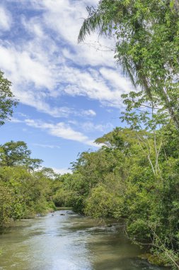 Parana Nehri Iguazu Parkı