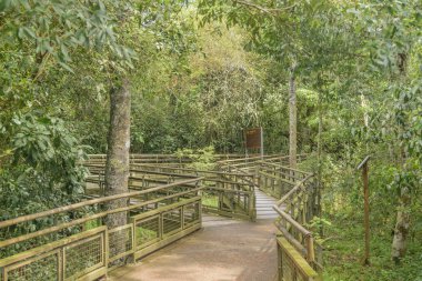 Iguazu Parkı Arjantin sınırında Köprüsü