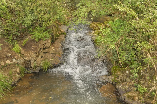 Stream Landscape at Iguazu Park — Stock Photo, Image
