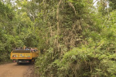 Jungle Iguazu Parkı gezisi