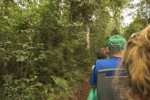 Reis naar de Jungle in Iguazu Park — Stockfoto
