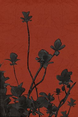 Siyah bitkiler doğa arka plan