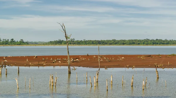 Parana Nehri Itaipu Barajı Park Brezilya