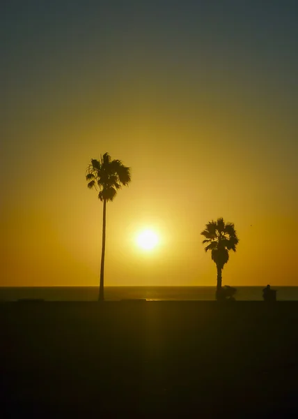 Escena del atardecer en la costa de Montevideo Uruguay —  Fotos de Stock