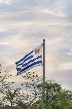 Uruguay bayrağı Montevideo bayrağı Meydanı