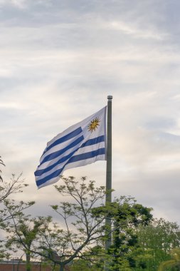 Uruguay bayrağı Montevideo bayrağı Meydanı