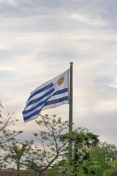 Bandeira do Uruguai em Montevidéu Bandeira Square — Fotografia de Stock
