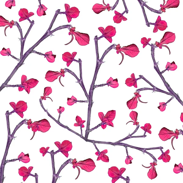 Florales Spitzenmuster — Stockfoto