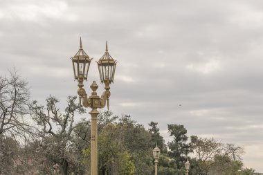 Antik şehir ışıkları ve doğa Recoleta Park Buenos Aires