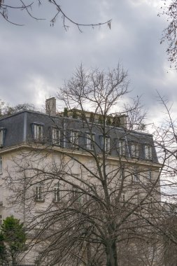 Neoklasik bina ve ağaçların Buenos Aires Arjantin