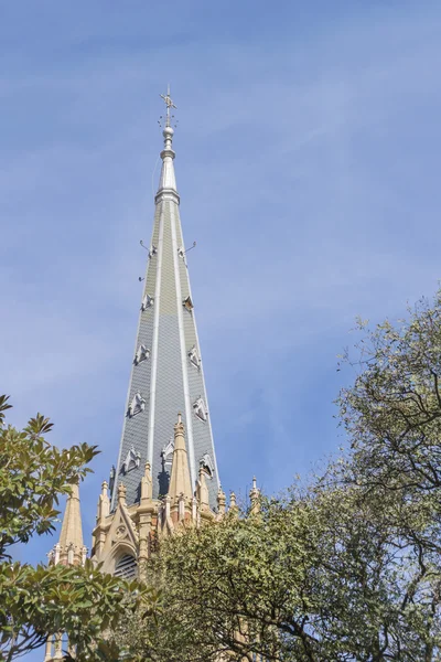 Catedral de San Isidro Buenos Aires Argentina — Fotografia de Stock