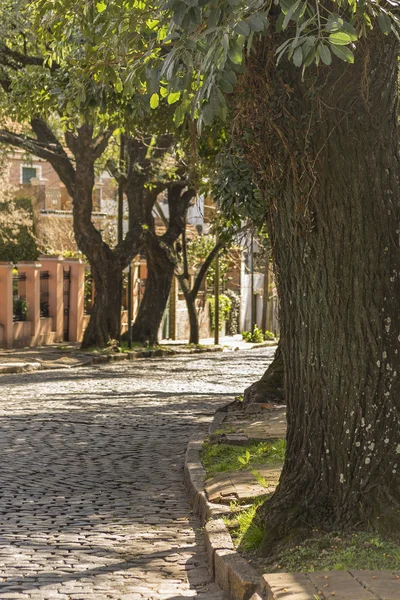 Cobblestone Street a San Isidro Buenos Aires — Foto Stock