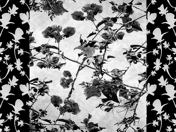 Collage floral rayé oriental — Photo