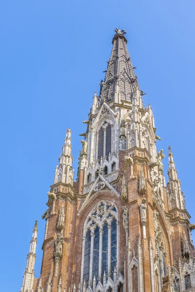 Iglesia Católica Principal de La Plata Buenos Aires —  Fotos de Stock