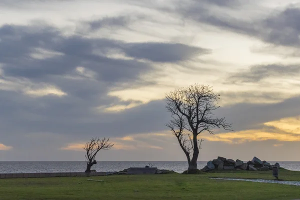 Cena do pôr do sol no calçadão em Montevidéu Uruguai — Fotografia de Stock