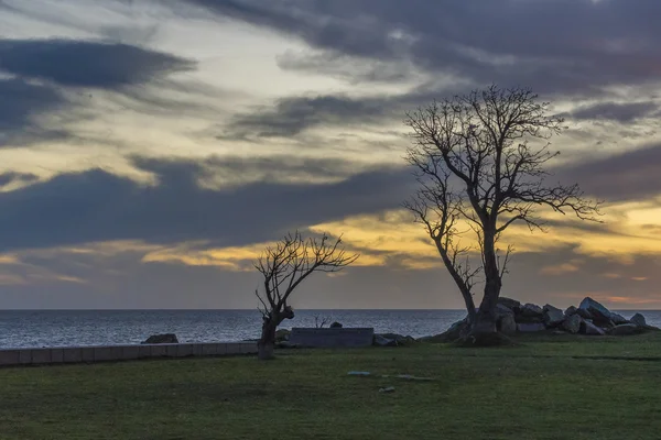 Cena do pôr do sol no calçadão em Montevidéu Uruguai — Fotografia de Stock