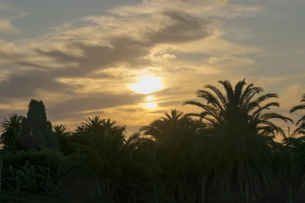 Montevideo Uruguay Parque Rodo Park'ta günbatımı Zamanı — Stok fotoğraf