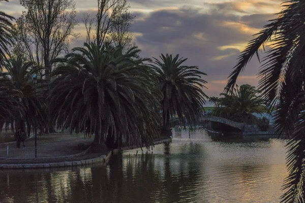 Zonsondergang Urban Scene in het Park in Montevideo — Stockfoto