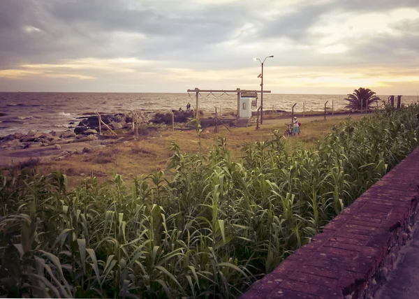 Пустое побережье Монтевидео, Уругвай — стоковое фото