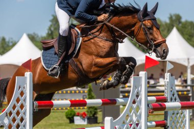 At Atlama, Binicilik Sporu, Atlama temalı fotoğrafı göster.