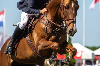 At Atlama, Binicilik Sporu, Atlama temalı fotoğrafı göster.