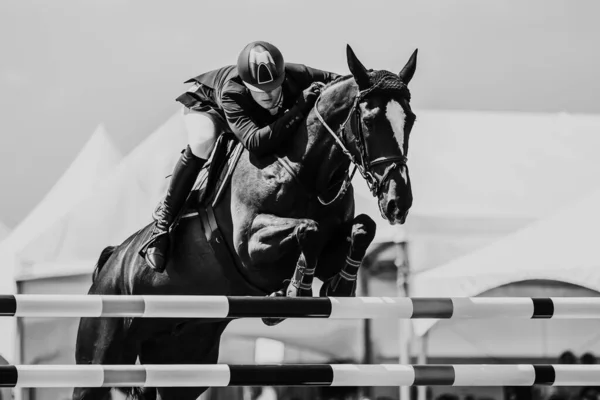 Skoki Konne Sporty Jeździeckie Show Jumping Tematyczne Zdjęcie — Zdjęcie stockowe