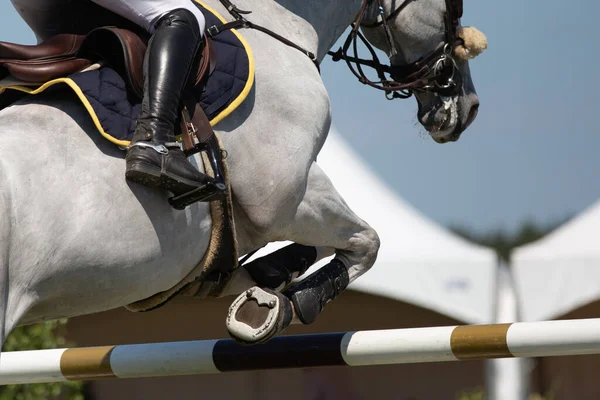 Horse Jumping Jezdecké Sporty Show Skákání Tématické Foto — Stock fotografie